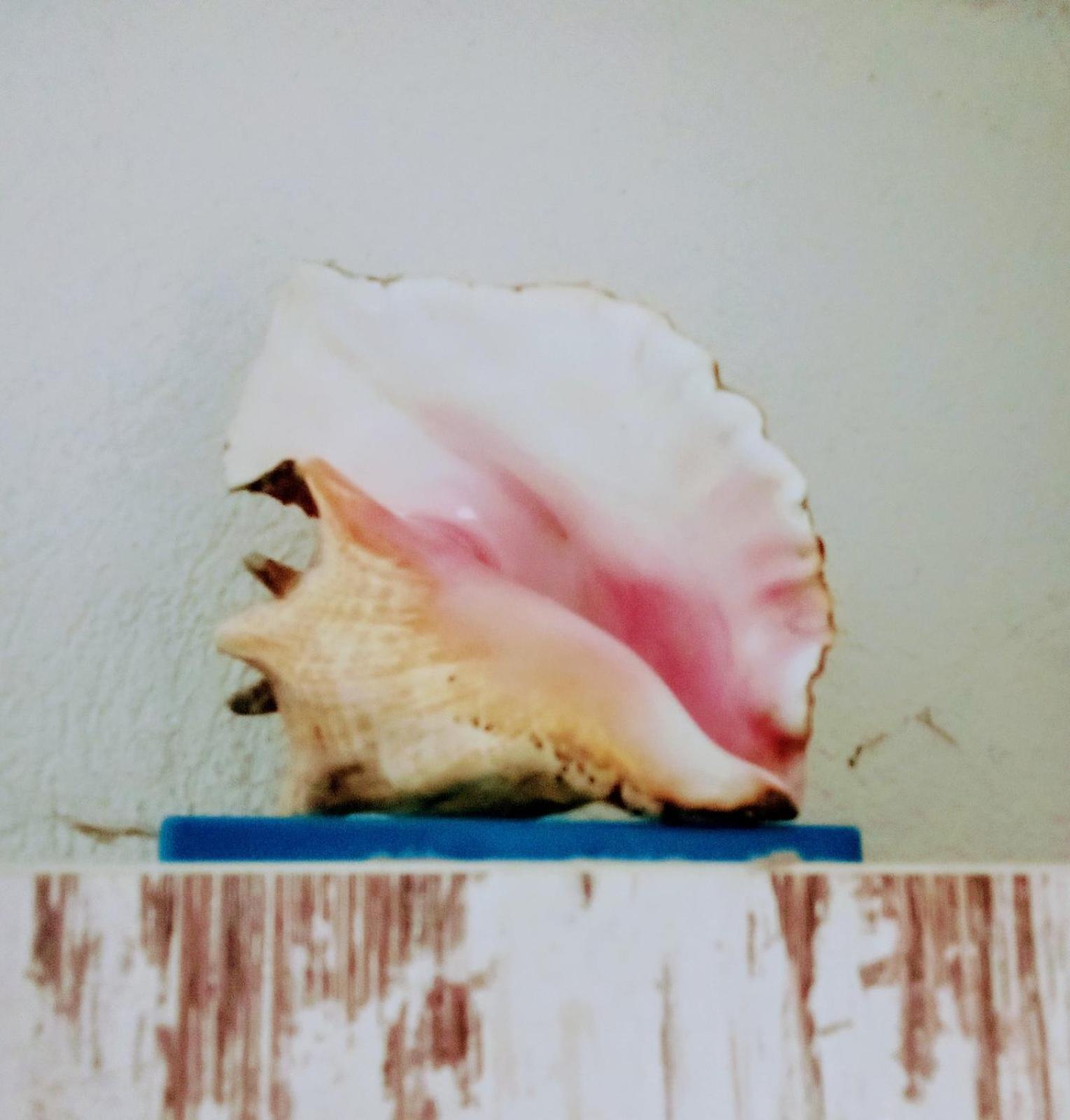 Apartment Mediterraneo Seagull Πέραστ Εξωτερικό φωτογραφία